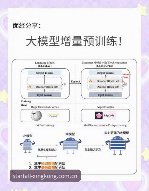 星空体育新手攻略必备：从零开始的完整使用指南
